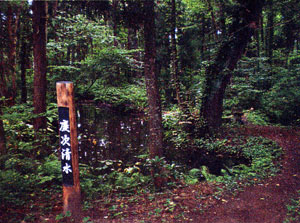 �c������