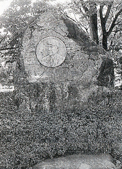 �̊F��r�Y���̃����[�t