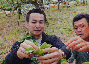 �T��G���